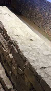 東魚坊必打卡全攻略