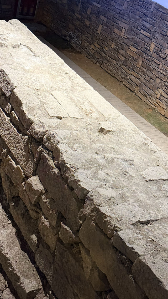 東魚坊必打卡全攻略 東魚坊必打卡全攻略