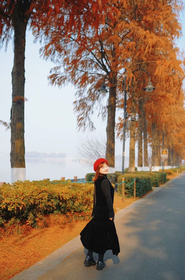 武漢東湖最美步道!!封神了好嘛!!巨美 武漢東湖最美步道!!封神了好嘛!!巨美