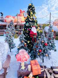 泉州崇武|海絲博亞的浪漫奇遇