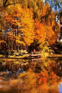 魔都賞秋封神路線!0元拍出大片感