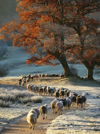 Promise me! You must visit Windermere in winter!