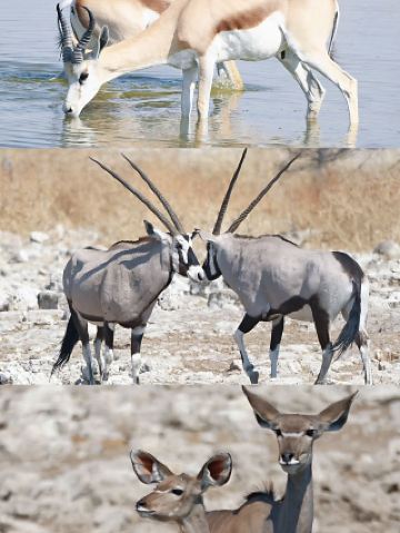 "You definitely won't expect how to play in Namibia"