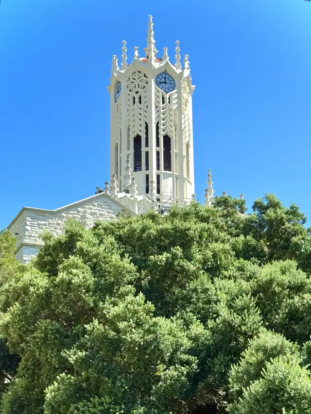 New Zealand｜A Stroll Around the University of Auckland