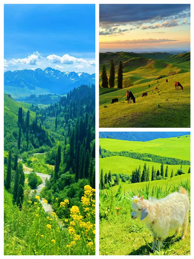 Northern Xinjiang 10-Day Itinerary, Suitable for April-June | Trip