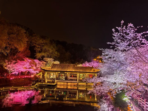 夜桜　苑古 1mi5912000s26e2vbDD9D_Q90.jpg?