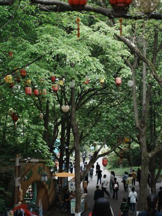 Tianmu Lake in Liyang | Embark on a Green Rendezvous