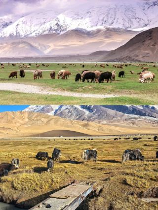 Unexpected Delight on a Xinjiang Road Trip! A Cozy Guesthouse at the Foot of Muztagh Ata 🌄 On the way to Taxkorgan, I almost missed this little village hidden at the foot of Muztagh Ata.