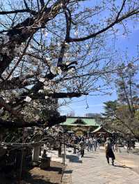 Discover unique urban humanity on a gentle Tokyo journey