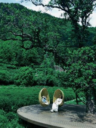 Huangshan | A Southern French Estate Hidden in the Mountains and Waters of Huizhou