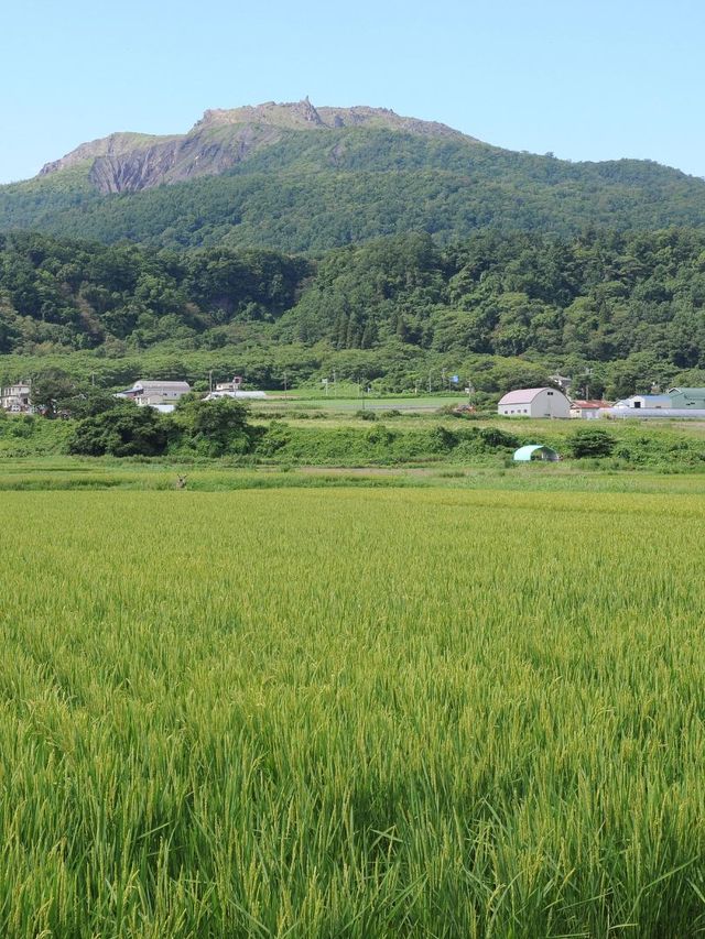 日本5日遊攻略,朋友圈C位預訂
