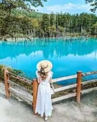 日本6日遊｜夏天這樣玩才過癮