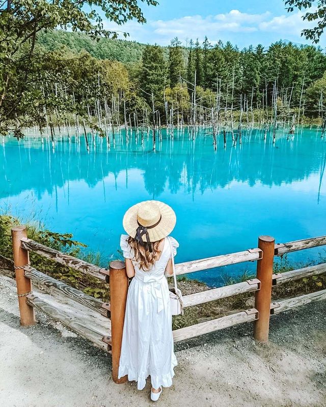 日本6日遊｜夏天這樣玩才過癮