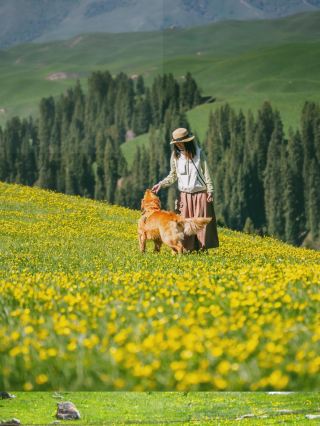 Listen up! Tangbula is the hidden king of Xinjiang’s grasslands
