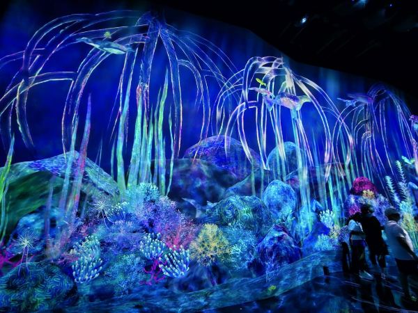 Unique Attraction with Diverse Experiences in Tokyo | Trip.com Tokyo