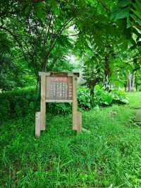 北海道｜以度假的方式，緩緩走過阿寒湖