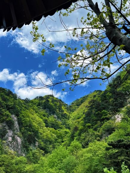 Top hiking destination in Shucheng: Wanfo Mountain