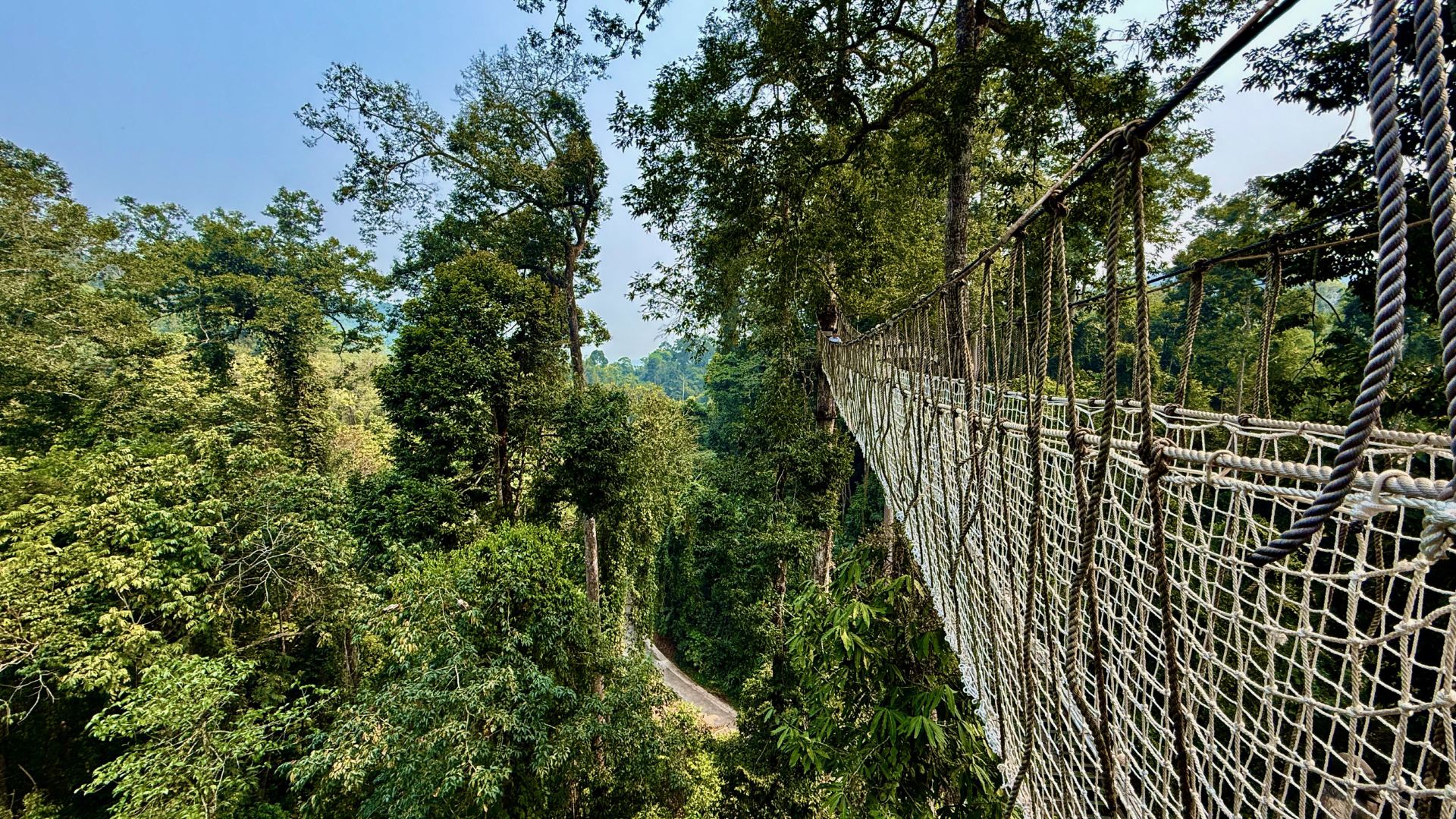 Wangtianshu Extreme Rainforest Canopy Experience in Xishuangbanna