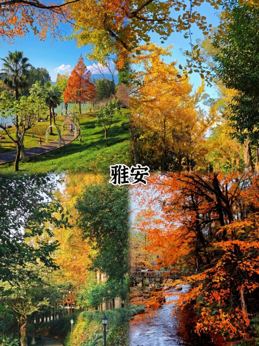 Relaxing for the National Day holiday: 4 niche cities perfect for a 3-day getaway