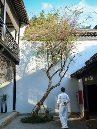 來蘇州同裡｜住進水鄉里的慢生活