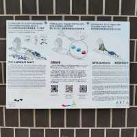 環境優美的東岸公園主題區
