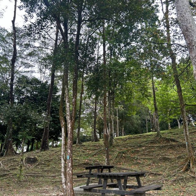 大自然教學的好去處