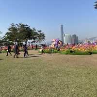金鐘❤️添馬公園