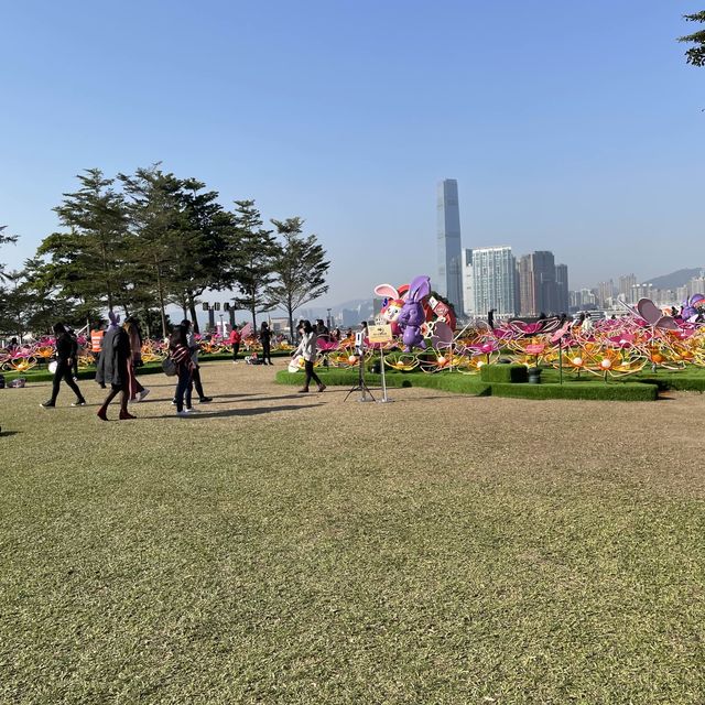 金鐘❤️添馬公園