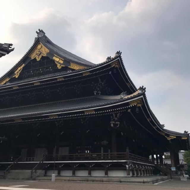 京都東本願寺‼️ 賞楓葉🍁之處