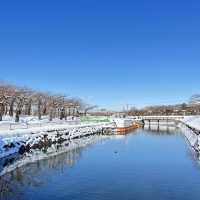 函館代表景點 五稜郭公園❄️