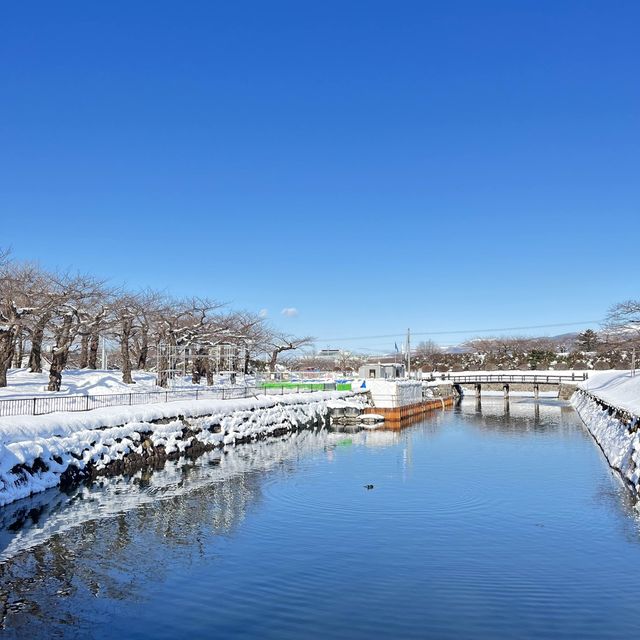 函館代表景點 五稜郭公園❄️
