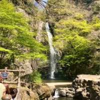 大阪で絶景の自然の中をハイキング【箕面大滝】