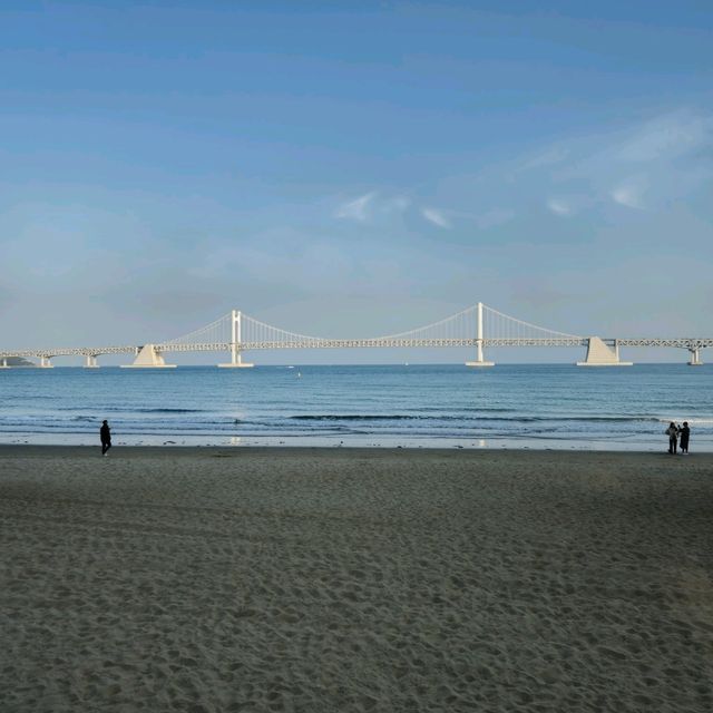 광안리 해변+랜디스도넛 부산 후기🥯