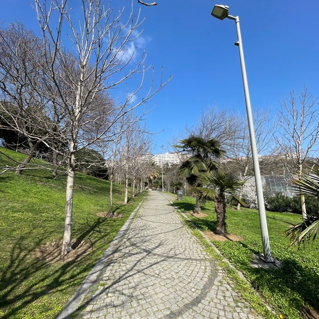 Are you a park-lover?