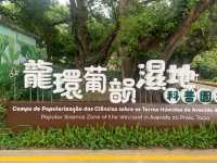 一望無際的“”龍環葡韻濕地” 澳門免費景點 