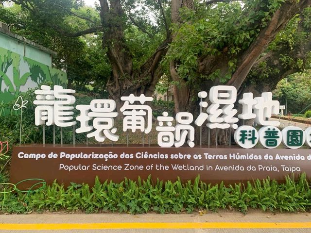 一望無際的“”龍環葡韻濕地” 澳門免費景點 