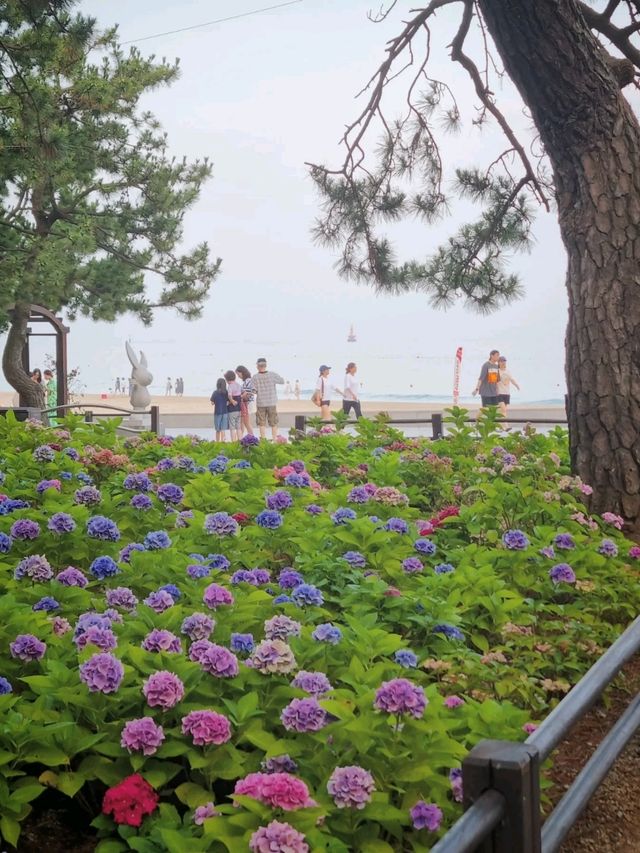 끝없이 펼쳐진 수국길에서