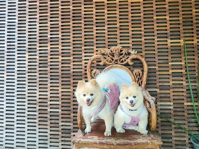 คาเฟ่ริมน้ำ+การเรียนรู้เชิงวนเกษตร อัมพวา