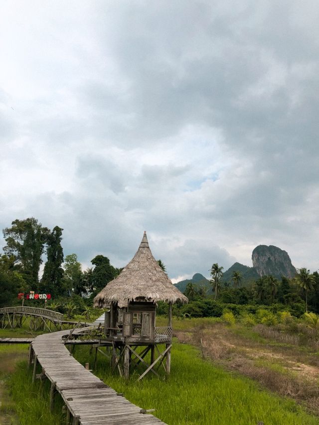 จิบกาแฟกลางทุ่งนา ที่ บิ้งนา คาเฟ่ พัทลุง