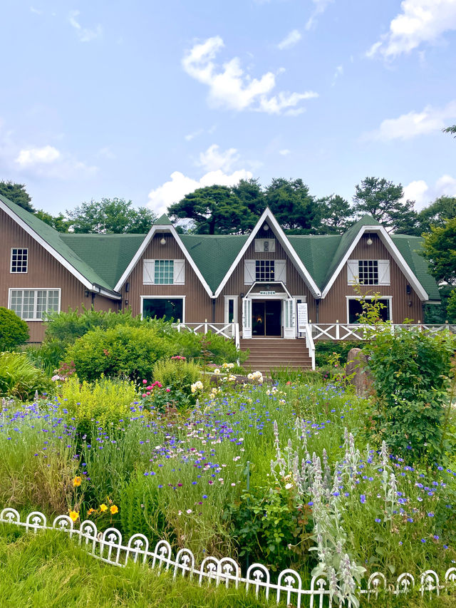 유럽산장같은 초록색지붕 우드하우스와 꽃밭정원 🏡