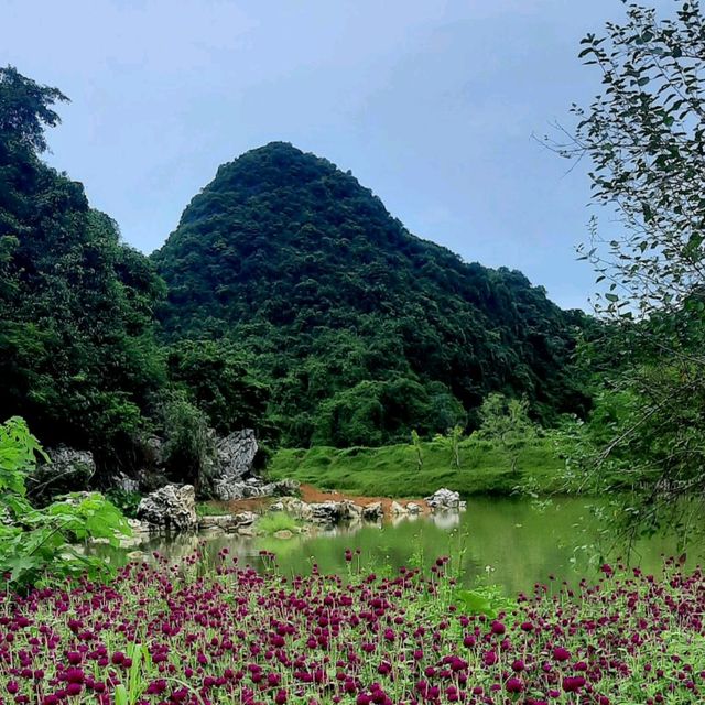 Bird Park in Tam Coc - many butterflies but no birds