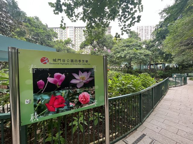 親子好去處 @ 城門谷公園