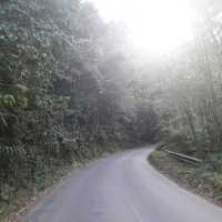 ปราสาทเมืองสิงห์