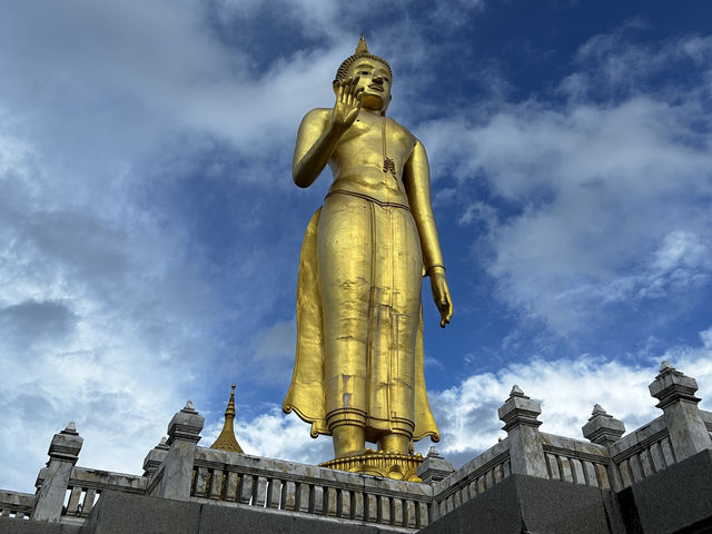 Walk up 166m in Awe of 20m Golden Buddha