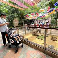 Safari world มากี่ครั้งก็ไม่เคยเบื่อ