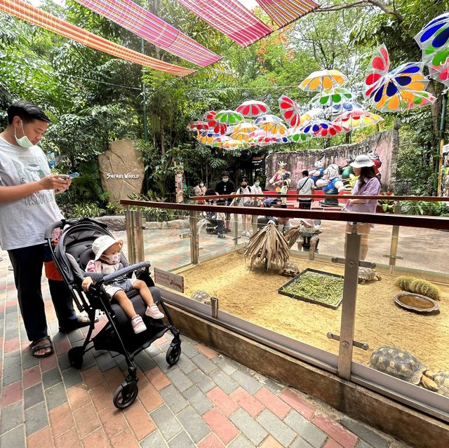 Safari world มากี่ครั้งก็ไม่เคยเบื่อ