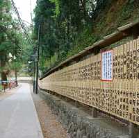 Takao Mountain