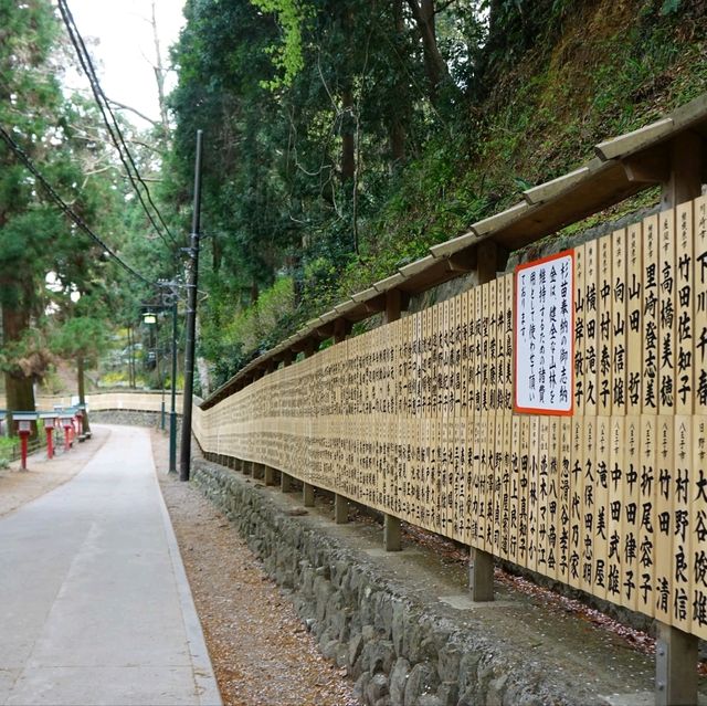 Takao Mountain