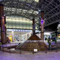 【奈良】駅近で便利！安心安定のホテル