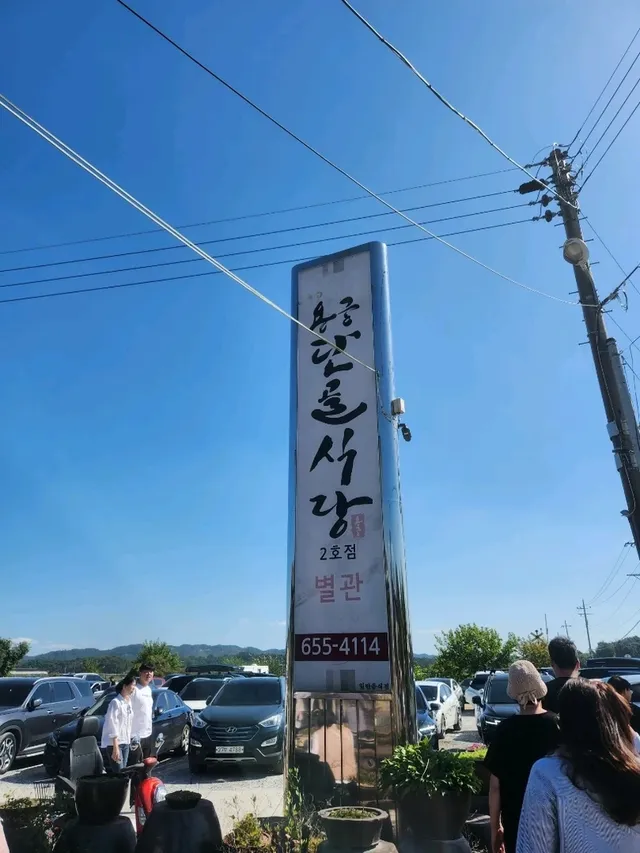 예천 맛집, "용궁단골식당" 오징어한판 꼭 드세요💖